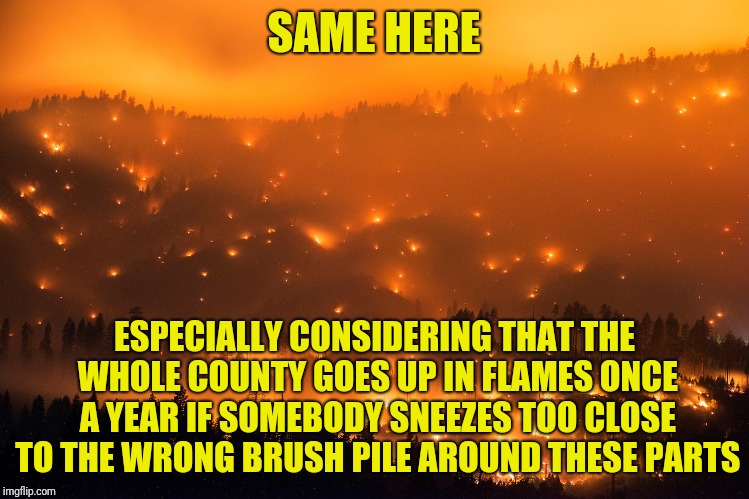 Wild Fire | SAME HERE ESPECIALLY CONSIDERING THAT THE WHOLE COUNTY GOES UP IN FLAMES ONCE A YEAR IF SOMEBODY SNEEZES TOO CLOSE TO THE WRONG BRUSH PILE A | image tagged in wild fire | made w/ Imgflip meme maker