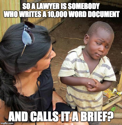 skeptical black boy | SO A LAWYER IS SOMEBODY WHO WRITES A 10,000 WORD DOCUMENT; AND CALLS IT A BRIEF? | image tagged in skeptical black boy | made w/ Imgflip meme maker