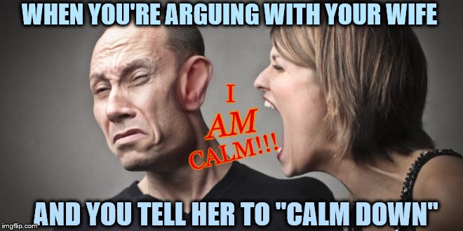 Dangerous Words | WHEN YOU'RE ARGUING WITH YOUR WIFE; I; AM; CALM!!! AND YOU TELL HER TO "CALM DOWN" | image tagged in memes,funny,marriage,couple arguing | made w/ Imgflip meme maker