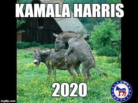 Kamala Harris For President | image tagged in memes | made w/ Imgflip meme maker