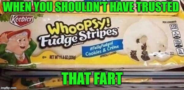 Whoopsy | WHEN YOU SHOULDN'T HAVE TRUSTED; THAT FART | image tagged in fudge stripes,skid marks | made w/ Imgflip meme maker