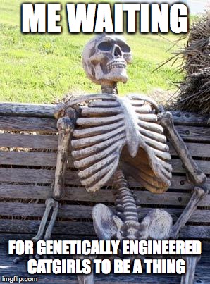 Waiting Skeleton | ME WAITING; FOR GENETICALLY ENGINEERED CATGIRLS TO BE A THING | image tagged in memes,waiting skeleton | made w/ Imgflip meme maker