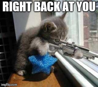 Cat Sniper | RIGHT BACK AT YOU | image tagged in cat sniper | made w/ Imgflip meme maker
