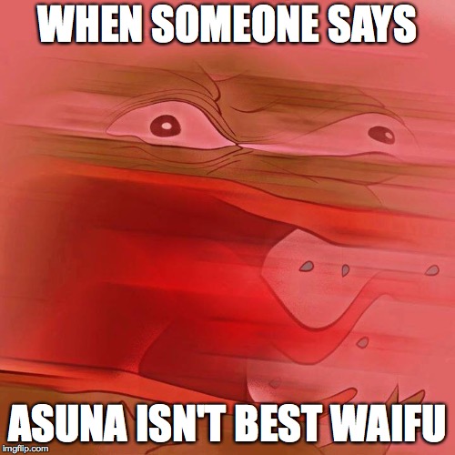 REEEEEEEEEEEE | WHEN SOMEONE SAYS; ASUNA ISN'T BEST WAIFU | image tagged in reeeeeeeeeeee | made w/ Imgflip meme maker