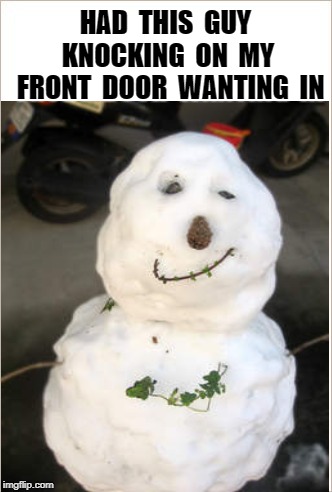 Cold. Cold | HAD  THIS  GUY  KNOCKING  ON  MY  FRONT  DOOR  WANTING  IN | image tagged in snowman,meme | made w/ Imgflip meme maker