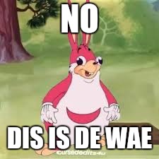 Ugandan chungles | NO DIS IS DE WAE | image tagged in ugandan chungles | made w/ Imgflip meme maker