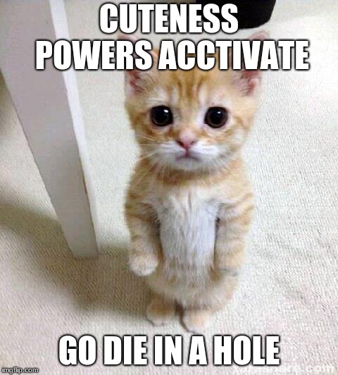 Cute Cat | CUTENESS POWERS ACCTIVATE; GO DIE IN A HOLE | image tagged in memes,cute cat | made w/ Imgflip meme maker