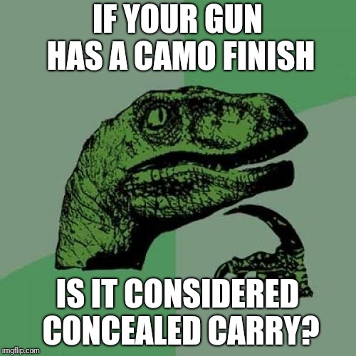 Philosoraptor | IF YOUR GUN HAS A CAMO FINISH; IS IT CONSIDERED CONCEALED CARRY? | image tagged in memes,philosoraptor | made w/ Imgflip meme maker