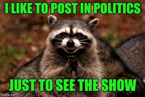 Evil Plotting Raccoon Meme | I LIKE TO POST IN POLITICS JUST TO SEE THE SHOW | image tagged in memes,evil plotting raccoon | made w/ Imgflip meme maker