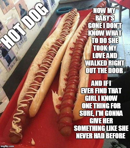 HOT DOG; NOW MY BABY'S GONE I DON'T KNOW WHAT TO DO
SHE TOOK MY LOVE AND WALKED RIGHT OUT THE DOOR; AND IF I EVER FIND THAT GIRL I KNOW ONE THING FOR SURE,
I'M GONNA GIVE HER SOMETHING LIKE SHE NEVER HAD BEFORE | made w/ Imgflip meme maker