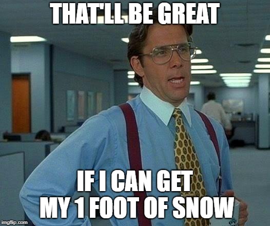 COLD BUT HARDLY SNOW, COME ON KENTUCKY DON'T BE A WIMP | THAT'LL BE GREAT; IF I CAN GET MY 1 FOOT OF SNOW | image tagged in memes,that would be great | made w/ Imgflip meme maker