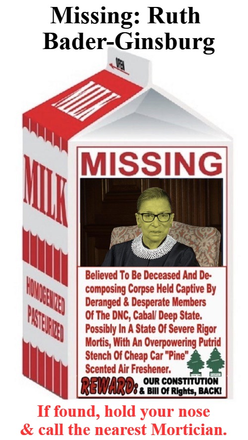 Missing: Ruth Bader-Ginsburg | Missing: Ruth Bader-Ginsburg; If found, hold your nose & call the nearest Mortician. | image tagged in rigor mortis,ruth bader ginsburg,missing and presumed dead,putrid stench,dnc | made w/ Imgflip meme maker