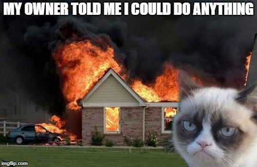 You really can do anything | MY OWNER TOLD ME I COULD DO ANYTHING | image tagged in memes,burn kitty,grumpy cat | made w/ Imgflip meme maker