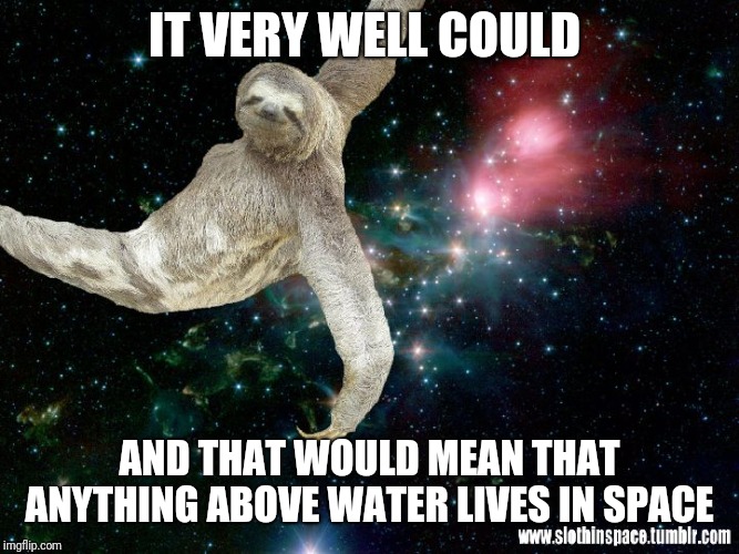 IT VERY WELL COULD AND THAT WOULD MEAN THAT ANYTHING ABOVE WATER LIVES IN SPACE | made w/ Imgflip meme maker