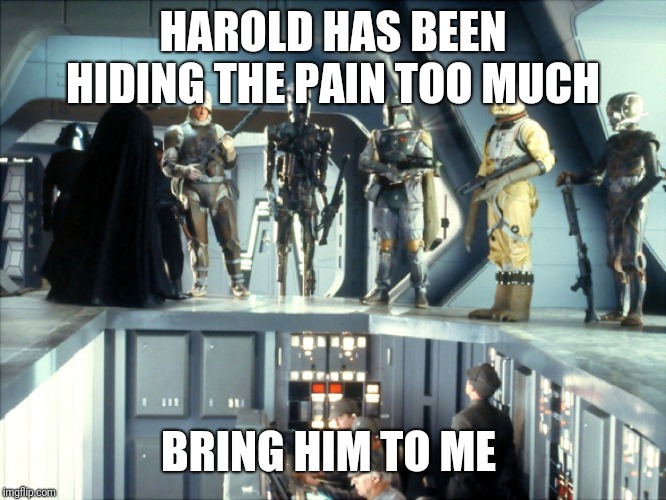 Darth Vader bounty hunters | HAROLD HAS BEEN HIDING THE PAIN TOO MUCH BRING HIM TO ME | image tagged in darth vader bounty hunters | made w/ Imgflip meme maker