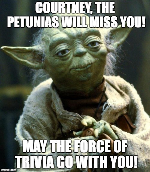Star Wars Yoda | COURTNEY, THE PETUNIAS WILL MISS YOU! MAY THE FORCE OF TRIVIA GO WITH YOU! | image tagged in memes,star wars yoda | made w/ Imgflip meme maker