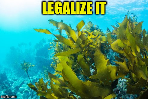 LEGALIZE IT | made w/ Imgflip meme maker