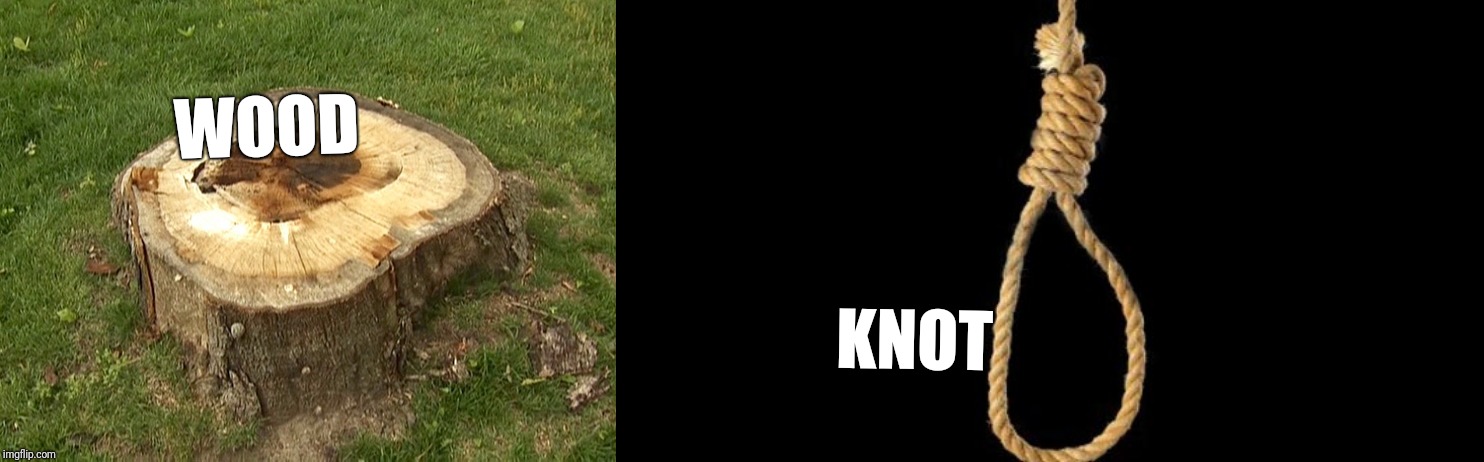 WOOD KNOT | image tagged in stump,lynch rope | made w/ Imgflip meme maker
