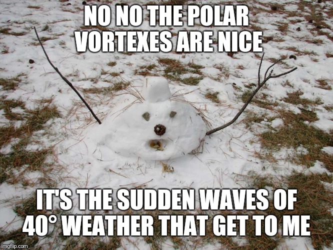 Melted Snowman | NO NO THE POLAR VORTEXES ARE NICE IT'S THE SUDDEN WAVES OF 40° WEATHER THAT GET TO ME | image tagged in melted snowman | made w/ Imgflip meme maker