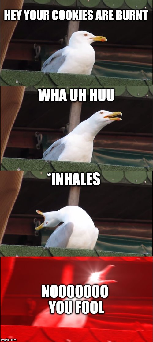 Inhaling Seagull Meme | HEY YOUR COOKIES ARE BURNT; WHA UH HUU; *INHALES; NOOOOOOO YOU FOOL | image tagged in memes,inhaling seagull | made w/ Imgflip meme maker