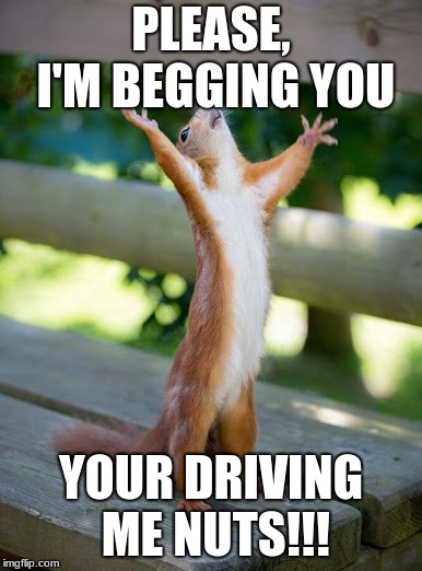 why me | PLEASE, I'M BEGGING YOU; YOUR DRIVING ME NUTS!!! | image tagged in why me | made w/ Imgflip meme maker