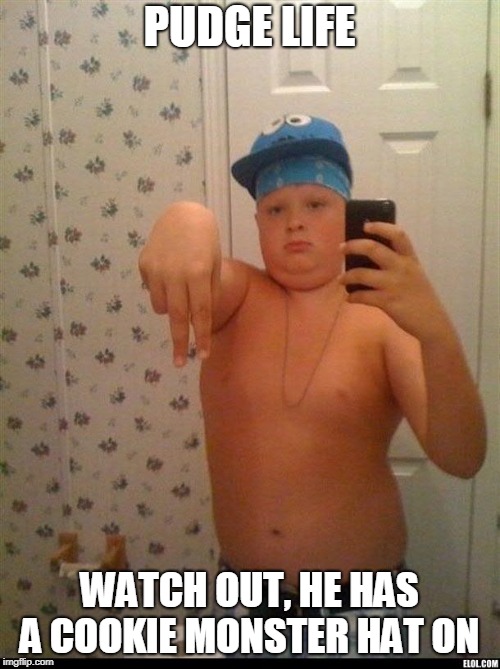 thug life | PUDGE LIFE WATCH OUT, HE HAS A COOKIE MONSTER HAT ON | image tagged in thug life | made w/ Imgflip meme maker