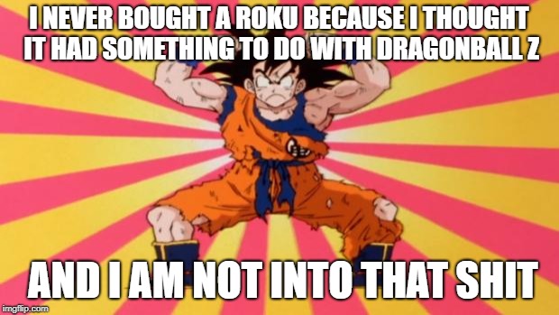 Dragon Ball Z | I NEVER BOUGHT A ROKU BECAUSE I THOUGHT IT HAD SOMETHING TO DO WITH DRAGONBALL Z; AND I AM NOT INTO THAT SHIT | image tagged in dragon ball z | made w/ Imgflip meme maker