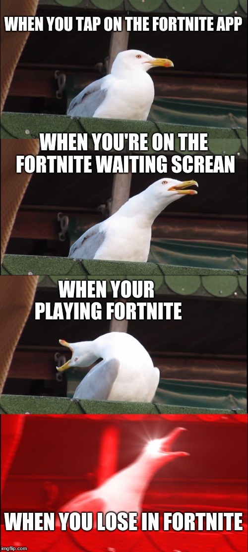 Inhaling Seagull Meme | WHEN YOU TAP ON THE FORTNITE APP; WHEN YOU'RE ON THE FORTNITE WAITING SCREAN; WHEN YOUR PLAYING FORTNITE; WHEN YOU LOSE IN FORTNITE | image tagged in memes,inhaling seagull | made w/ Imgflip meme maker