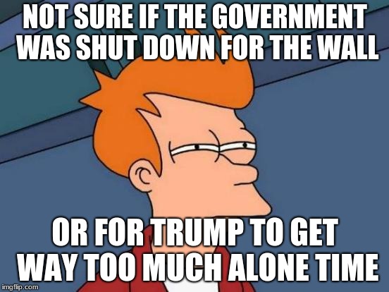 Futurama Fry Meme | NOT SURE IF THE GOVERNMENT WAS SHUT DOWN FOR THE WALL; OR FOR TRUMP TO GET WAY TOO MUCH ALONE TIME | image tagged in memes,futurama fry | made w/ Imgflip meme maker