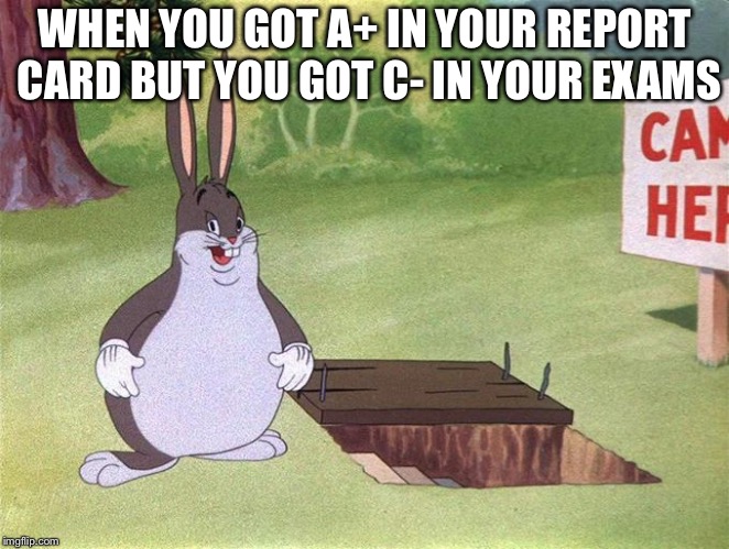 Big Chungus | WHEN YOU GOT A+ IN YOUR REPORT CARD BUT YOU GOT C- IN YOUR EXAMS | image tagged in big chungus,memes,exams,schools | made w/ Imgflip meme maker