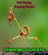 God Eating Praying Mantis; STARVING TO DEATH | image tagged in praying mantis | made w/ Imgflip meme maker