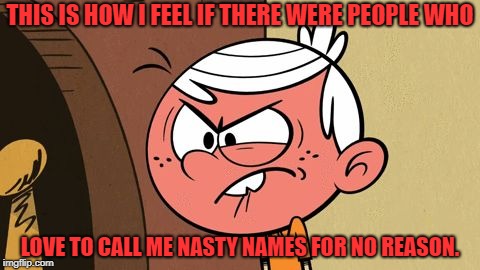 How I feel about namecalling | THIS IS HOW I FEEL IF THERE WERE PEOPLE WHO; LOVE TO CALL ME NASTY NAMES FOR NO REASON. | image tagged in the loud house,lincoln loud,angry,namecalling | made w/ Imgflip meme maker