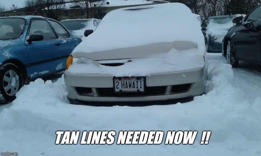 Baby it's cold outside  !!! | TAN LINES NEEDED NOW  !! | image tagged in bikini,tan,hawaii | made w/ Imgflip meme maker