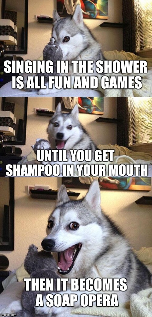 Bad Pun Dog | SINGING IN THE SHOWER IS ALL FUN AND GAMES; UNTIL YOU GET SHAMPOO IN YOUR MOUTH; THEN IT BECOMES A SOAP OPERA | image tagged in memes,bad pun dog | made w/ Imgflip meme maker