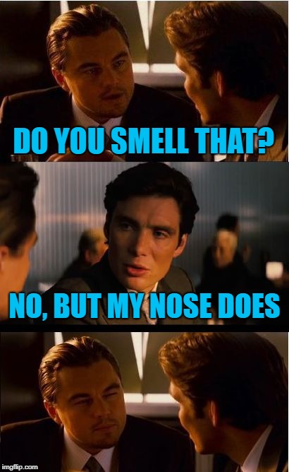 Inception | DO YOU SMELL THAT? NO, BUT MY NOSE DOES | image tagged in memes,inception | made w/ Imgflip meme maker