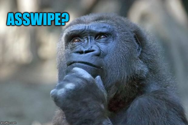 The thinking gorilla | ASSWIPE? | image tagged in the thinking gorilla | made w/ Imgflip meme maker