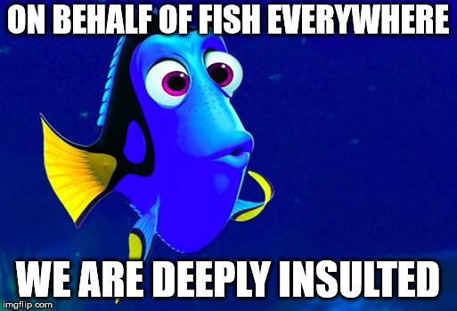 Bad Memory Fish | ON BEHALF OF FISH EVERYWHERE WE ARE DEEPLY INSULTED | image tagged in bad memory fish | made w/ Imgflip meme maker