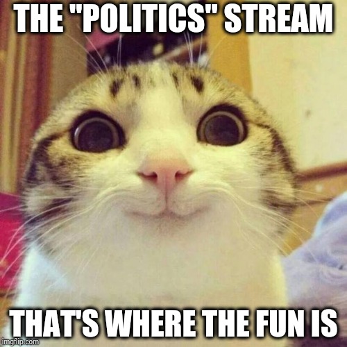 Smiling Cat Meme | THE "POLITICS" STREAM THAT'S WHERE THE FUN IS | image tagged in memes,smiling cat | made w/ Imgflip meme maker