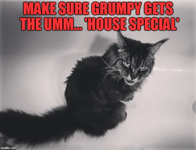 Metal Cat | MAKE SURE GRUMPY GETS THE UMM... 'HOUSE SPECIAL' | image tagged in metal cat | made w/ Imgflip meme maker