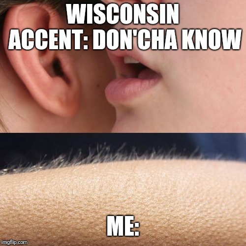 Whisper and Goosebumps | WISCONSIN ACCENT: DON'CHA KNOW; ME: | image tagged in whisper and goosebumps | made w/ Imgflip meme maker