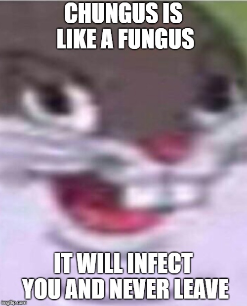 Big Chungus | CHUNGUS IS LIKE A FUNGUS IT WILL INFECT YOU AND NEVER LEAVE | image tagged in big chungus | made w/ Imgflip meme maker