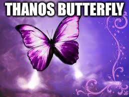 Purple Butterfly | THANOS BUTTERFLY | image tagged in purple butterfly | made w/ Imgflip meme maker