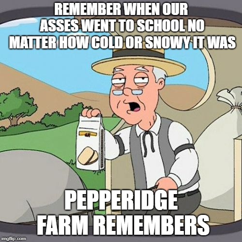 Weak ass kids today | REMEMBER WHEN OUR ASSES WENT TO SCHOOL NO MATTER HOW COLD OR SNOWY IT WAS; PEPPERIDGE FARM REMEMBERS | image tagged in memes,pepperidge farm remembers | made w/ Imgflip meme maker