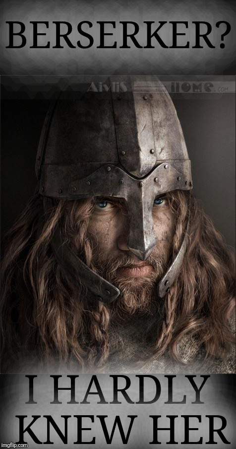 viking | BERSERKER? I HARDLY KNEW HER | image tagged in viking | made w/ Imgflip meme maker