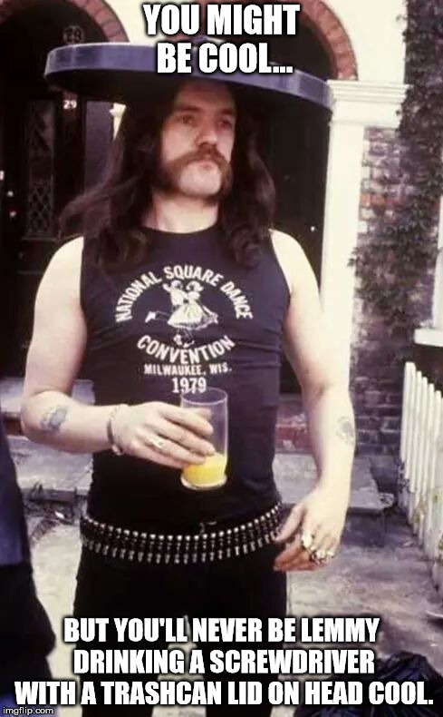 YOU MIGHT BE COOL... BUT YOU'LL NEVER BE LEMMY DRINKING A SCREWDRIVER WITH A TRASHCAN LID ON HEAD COOL. | image tagged in trashcan lid lemmy | made w/ Imgflip meme maker