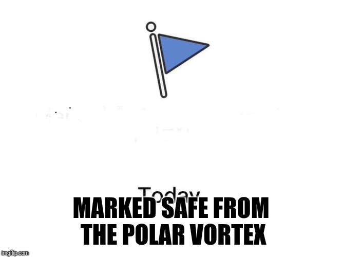Marked safe from | MARKED SAFE FROM 
THE POLAR VORTEX | image tagged in marked safe from | made w/ Imgflip meme maker