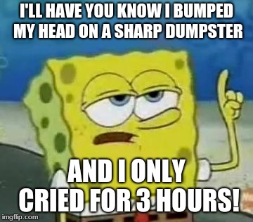 I'll Have You Know Spongebob Meme | I'LL HAVE YOU KNOW I BUMPED MY HEAD ON A SHARP DUMPSTER; AND I ONLY CRIED FOR 3 HOURS! | image tagged in memes,ill have you know spongebob | made w/ Imgflip meme maker