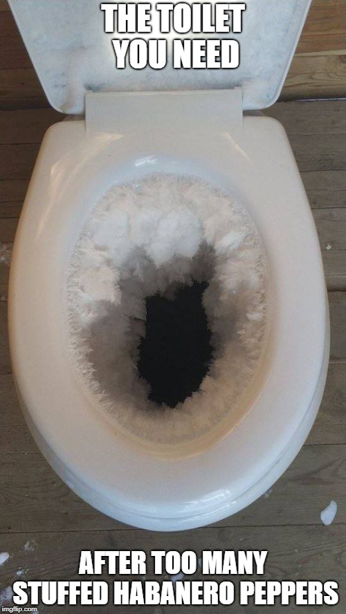 frozen toilet | THE TOILET YOU NEED; AFTER TOO MANY STUFFED HABANERO PEPPERS | image tagged in frozen toilet | made w/ Imgflip meme maker