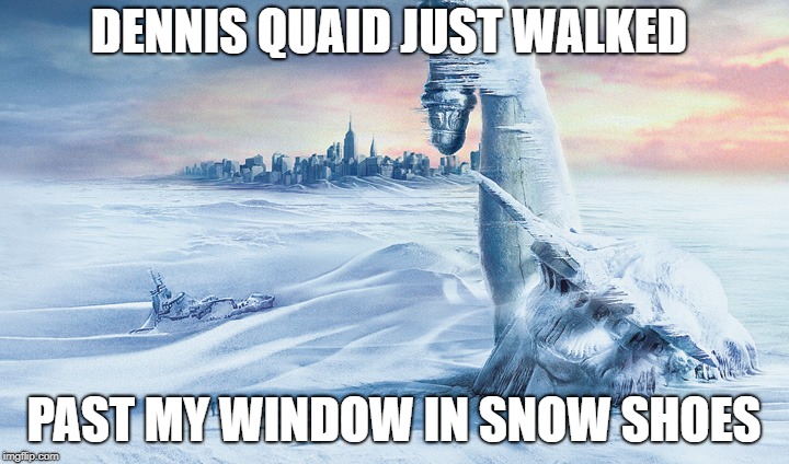 Day after tomorrow | DENNIS QUAID JUST WALKED; PAST MY WINDOW IN SNOW SHOES | image tagged in day after tomorrow | made w/ Imgflip meme maker