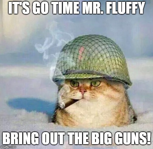 War Cat |  IT'S GO TIME MR. FLUFFY; BRING OUT THE BIG GUNS! | image tagged in war cat | made w/ Imgflip meme maker